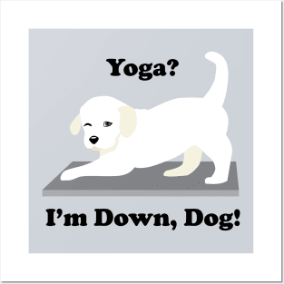 Labrador Yoga Dog Yoga? I'm Down, Dog! Posters and Art